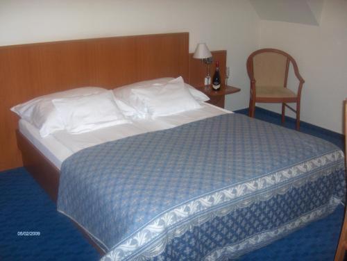 Panzio Sissi Hotel Gödöllő Екстериор снимка